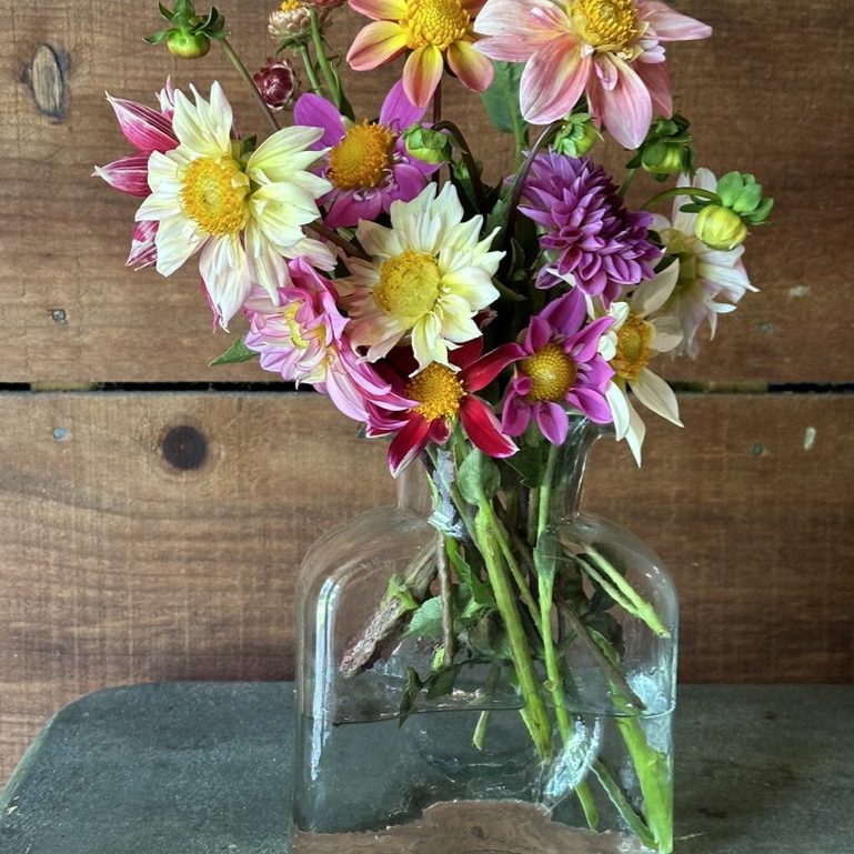 Valley Girl Flower Farm - Tiger, GA