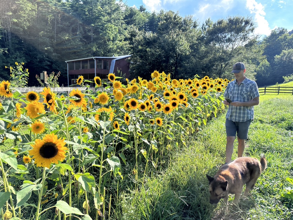 Valley Girl Flower Farm - Tiger, GA