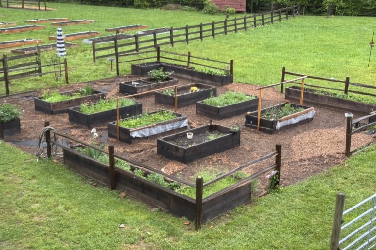 Valley Girl Flower Farm - Tiger, GA