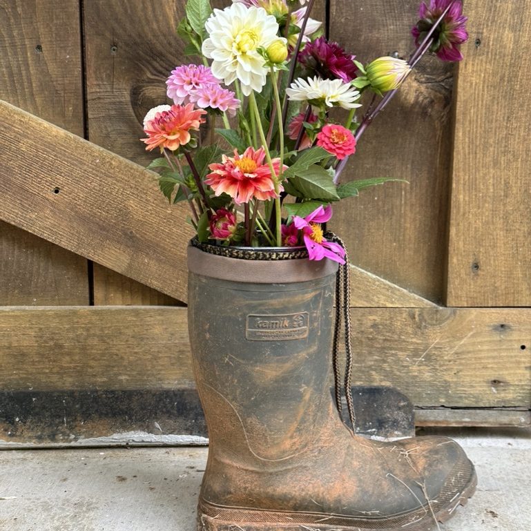 Valley Girl Flower Farm - Tiger, GA