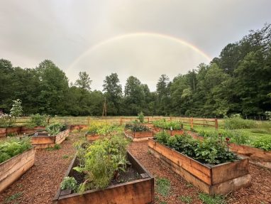 Valley Girl Flower Farm - Tiger, GA