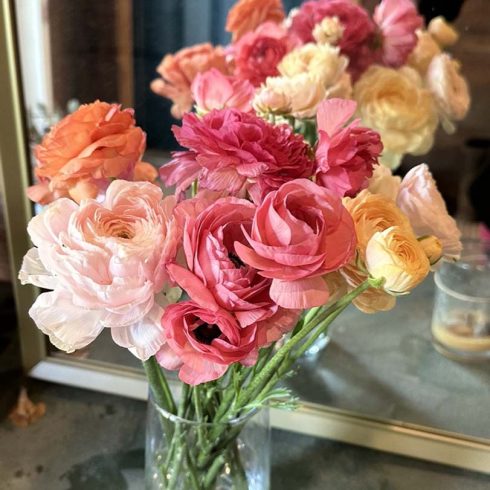 Valley Girl Flower Farm - Tiger, GA