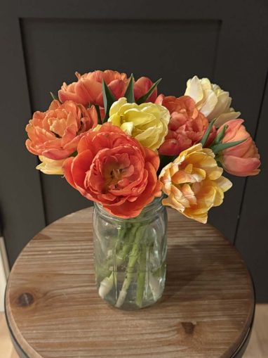 Valley Girl Flower Farm - Tiger, GA