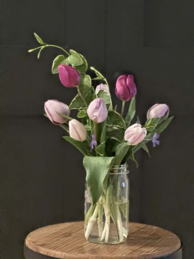 Valley Girl Flower Farm - Tiger, GA