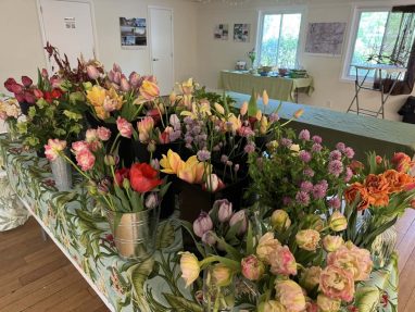 Valley Girl Flower Farm - Tiger, GA