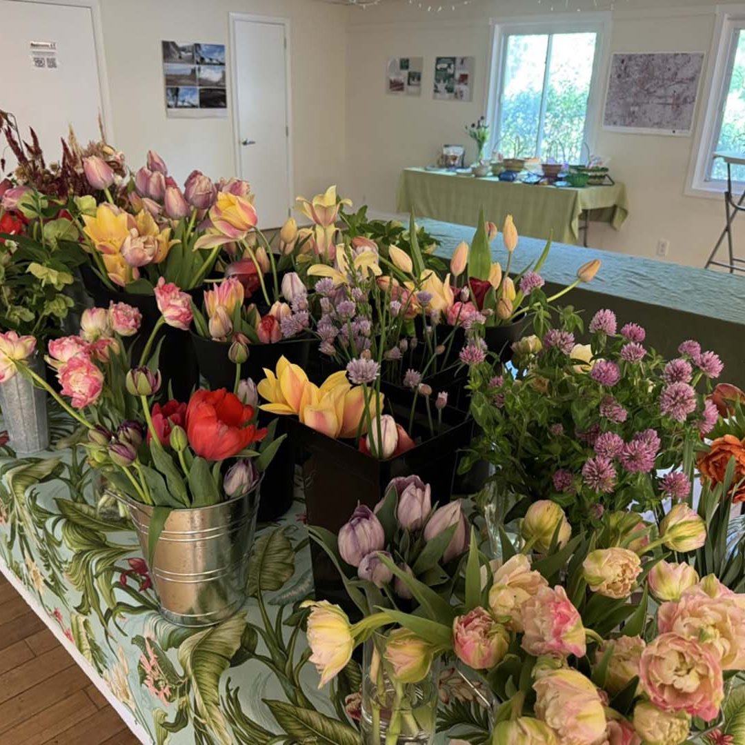 Valley Girl Flower Farm - Tiger, GA