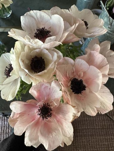 Valley Girl Flower Farm - Tiger, GA