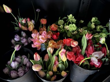 Valley Girl Flower Farm - Tiger, GA