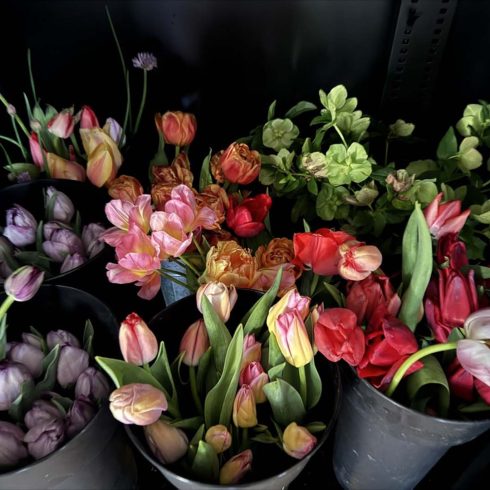 Valley Girl Flower Farm - Tiger, GA