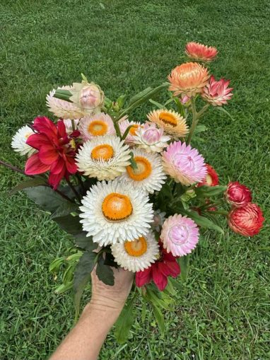 Valley Girl Flower Farm - Tiger, GA