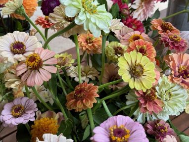 Valley Girl Flower Farm - Tiger, GA