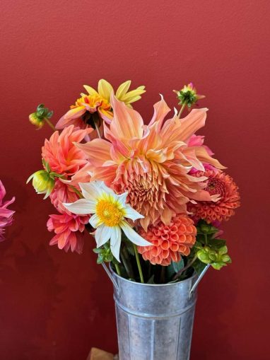 Valley Girl Flower Farm - Tiger, GA