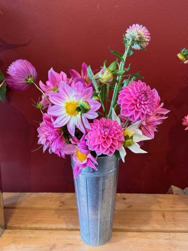 Valley Girl Flower Farm - Tiger, GA