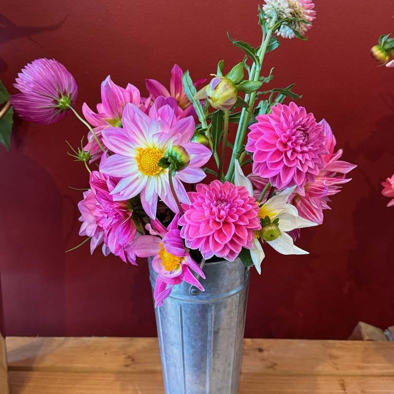 Valley Girl Flower Farm - Tiger, GA