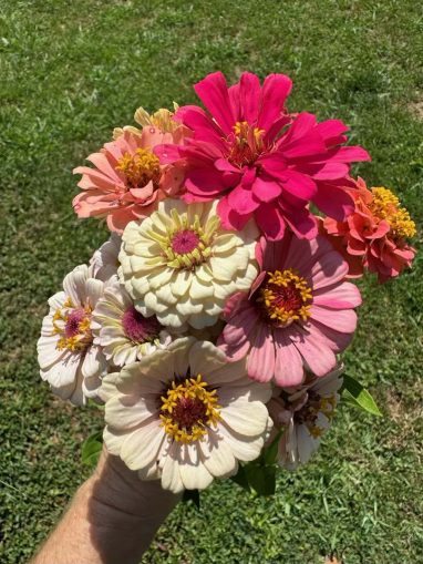 Valley Girl Flower Farm - Tiger, GA