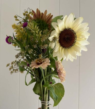 Valley Girl Flower Farm - Tiger, GA