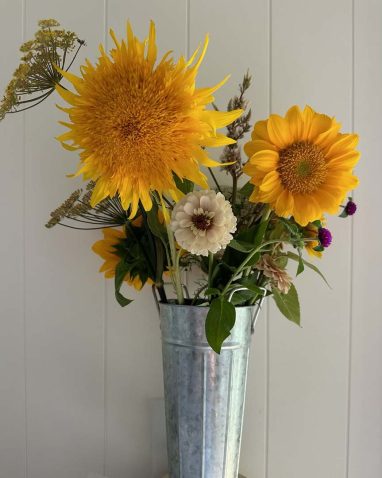 Valley Girl Flower Farm - Tiger, GA