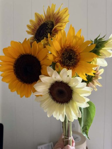 Valley Girl Flower Farm - Tiger, GA