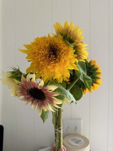 Valley Girl Flower Farm - Tiger, GA