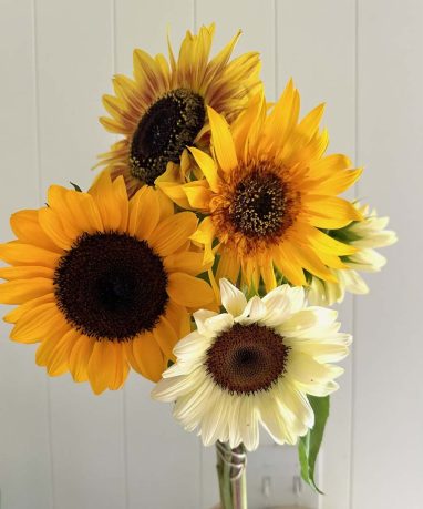 Valley Girl Flower Farm - Tiger, GA