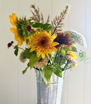 Valley Girl Flower Farm - Tiger, GA