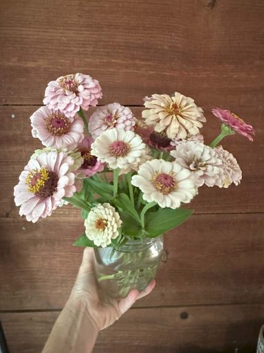 Valley Girl Flower Farm - Tiger, GA