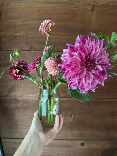 Valley Girl Flower Farm - Tiger, GA