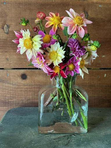 Valley Girl Flower Farm - Tiger, GA