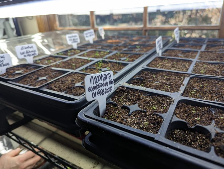 Valley Girl Flower Farms - Seedling Class – February 21, 2026