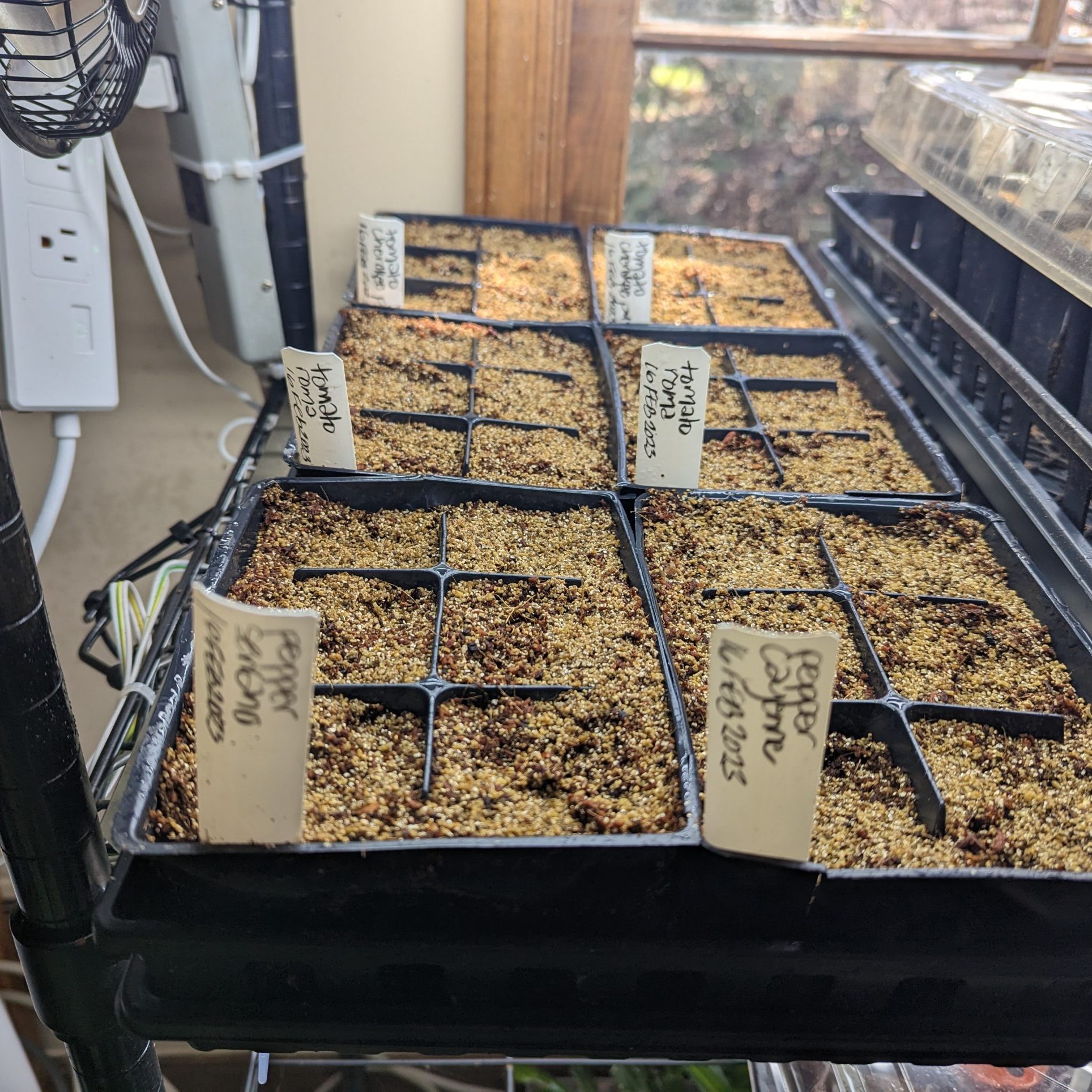 Valley Girl Flower Farms - Seedling Class – February 21, 2026