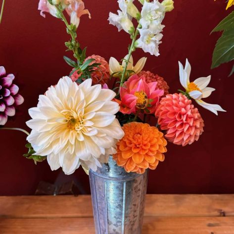 Valley Girl Flower Farm - Tiger, GA