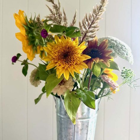 Valley Girl Flower Farm - Tiger, GA