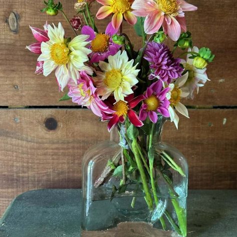 Valley Girl Flower Farm - Tiger, GA