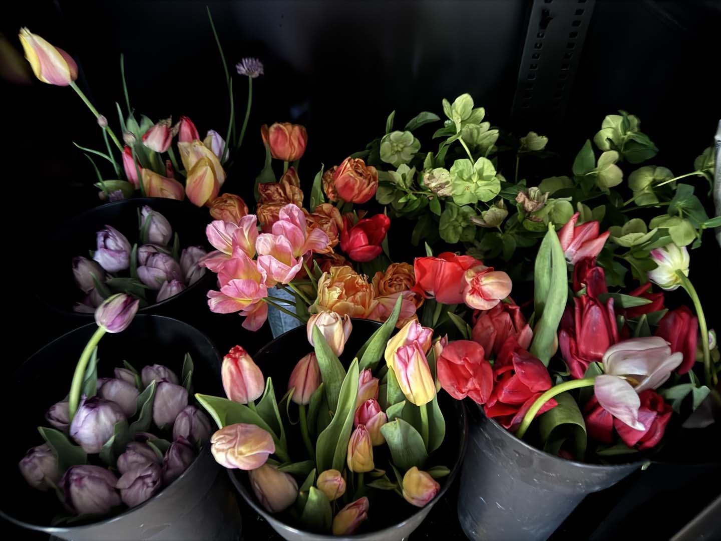 Valley Girl Flower Farm - Tiger, GA