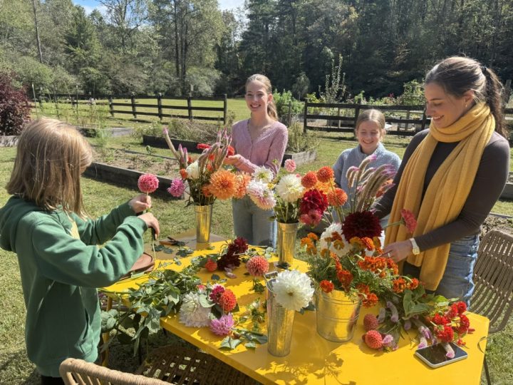 Valley Girl Flower Farm - Tiger, GA