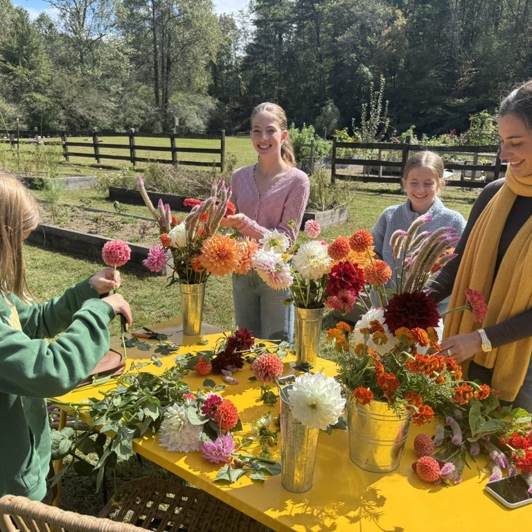 Valley Girl Flower Farm - Tiger, GA