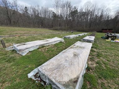 Valley Girl Flower Farm - Tiger, GA