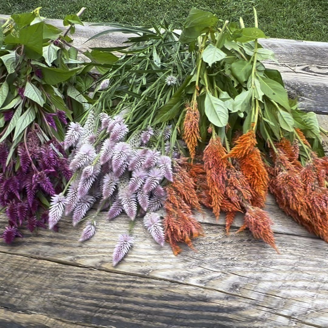 You-Pick and Yoga - Valley Girl Flower Farm