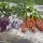 You-Pick and Yoga - Valley Girl Flower Farm
