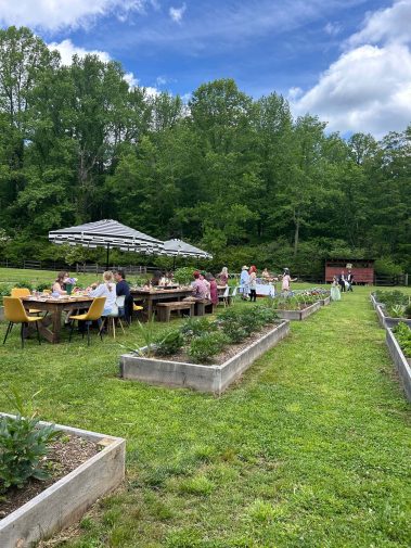 Valley Girl Flower Farm - Tiger, GA - Garden Tea Party