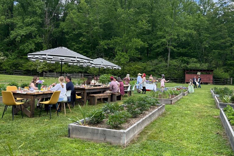 Valley Girl Flower Farm - Tiger, GA - Garden Tea Party