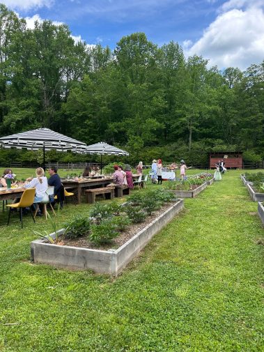 Valley Girl Flower Farm - Tiger, GA - Garden Tea Party